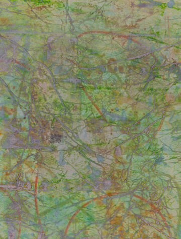 Forest Framework