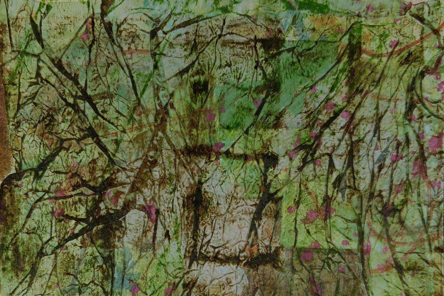 Abundant Wilderness